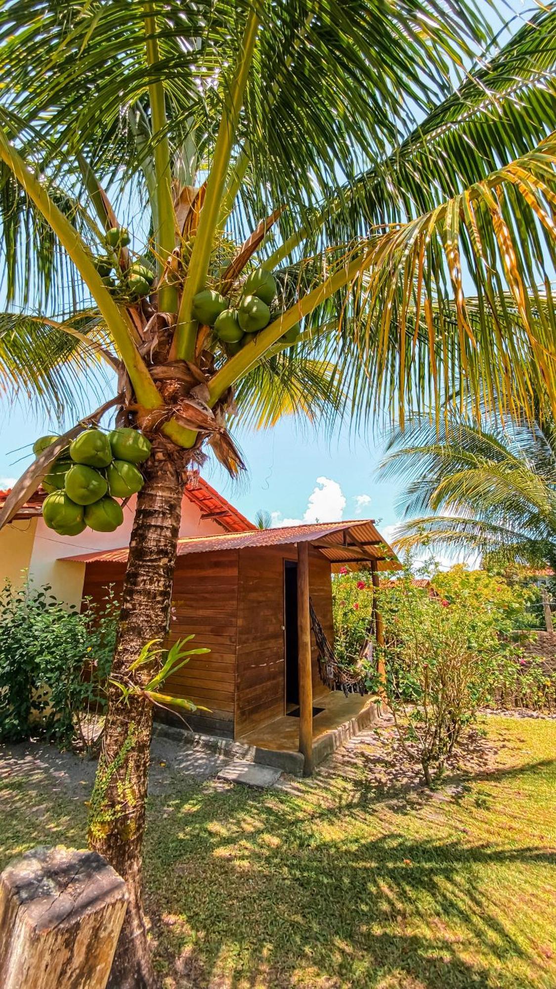Family Guest House Velha Boipeba Екстер'єр фото